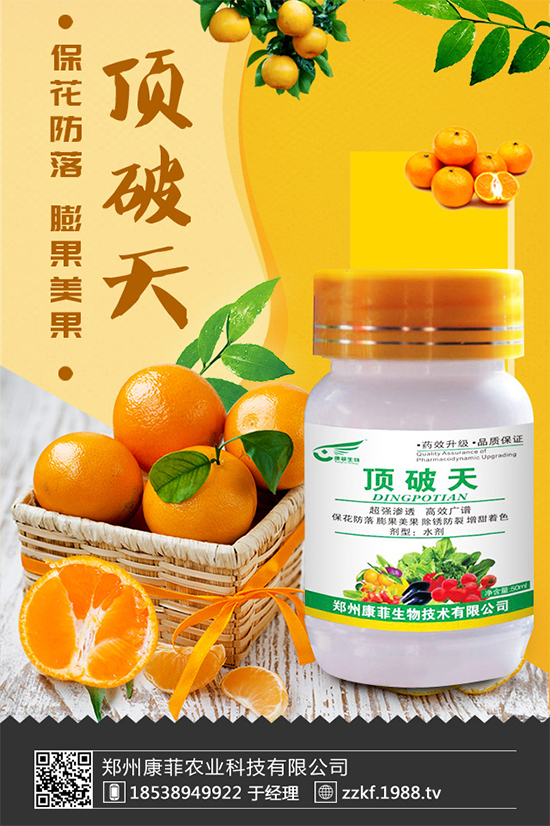 花椰菜軟腐病危害來(lái)襲,有沒(méi)有好的防治方法?快來(lái)看看吧!