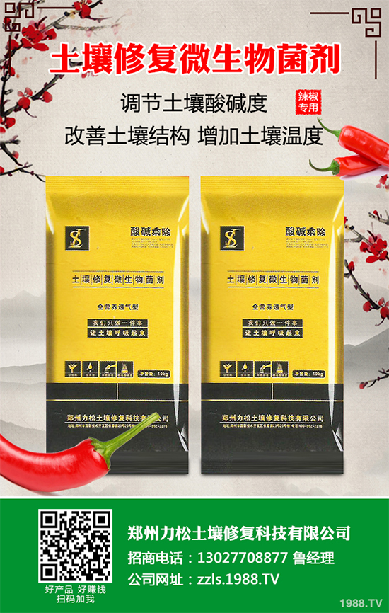 花椰菜軟腐病危害來(lái)襲,有沒(méi)有好的防治方法?快來(lái)看看吧!