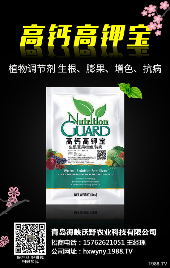 Сsʲôr(sh)θСsݽQ