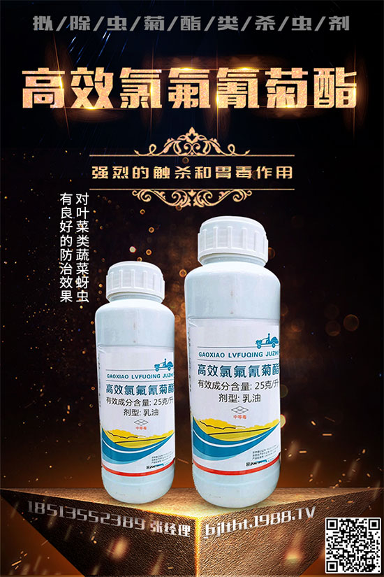 山東弘淼再度攜手1988.TV,攜手共創(chuàng)新戰(zhàn)績(jī)!共贏未來(lái)!