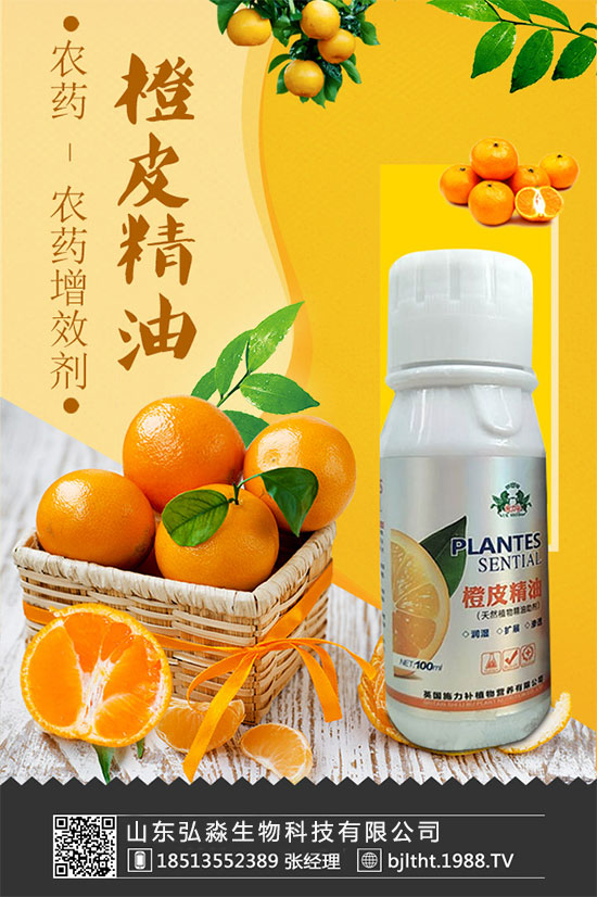 山東弘淼再度攜手1988.TV,攜手共創(chuàng)新戰(zhàn)績(jī)!共贏未來(lái)!