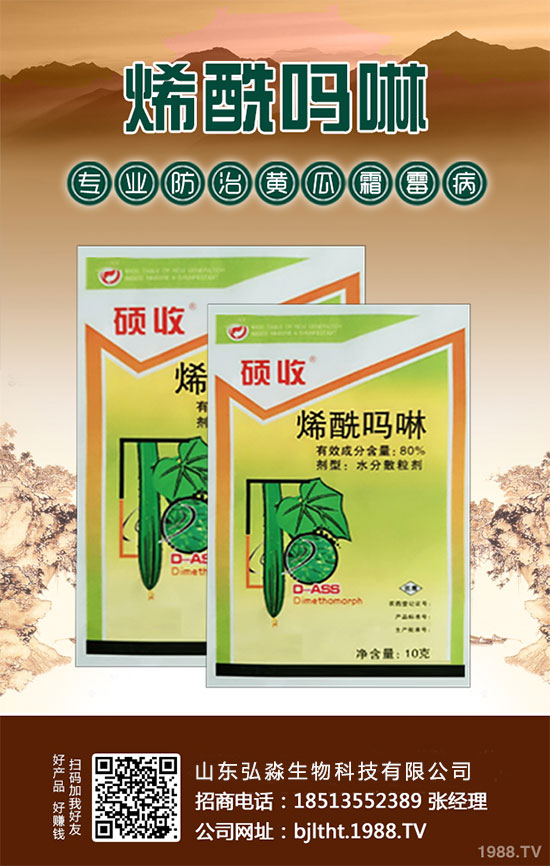 山東弘淼再度攜手1988.TV,攜手共創(chuàng)新戰(zhàn)績(jī)!共贏未來(lái)!