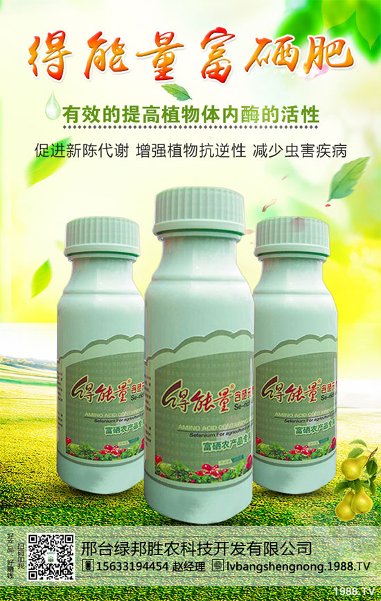 邢臺綠邦再度攜手1988.TV,開拓網(wǎng)絡(luò)招商新局面!