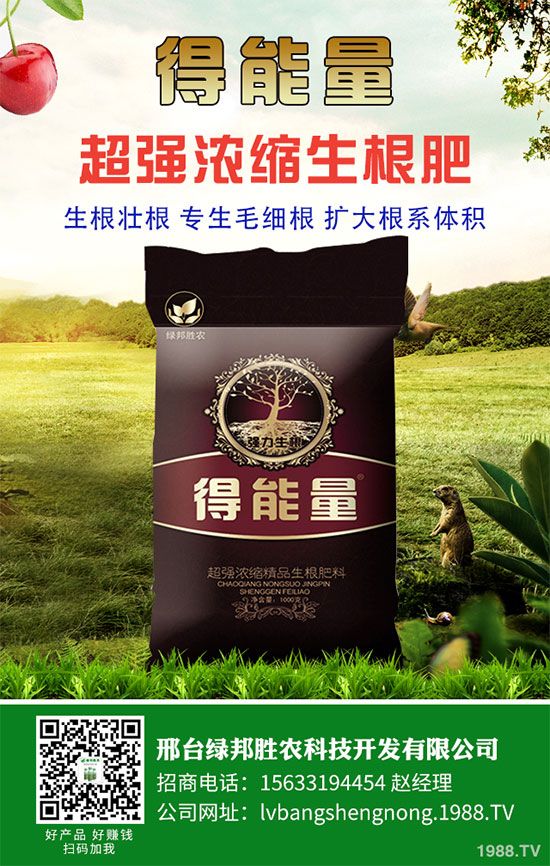 邢臺綠邦再度攜手1988.TV,開拓網(wǎng)絡(luò)招商新局面!