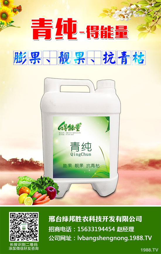 邢臺綠邦再度攜手1988.TV,開拓網(wǎng)絡(luò)招商新局面!