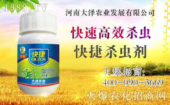 合作共謀發(fā)展,河南大澤農(nóng)業(yè)再次簽約1988.TV