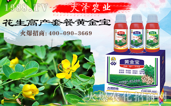 合作共謀發(fā)展,河南大澤農(nóng)業(yè)再次簽約1988.TV