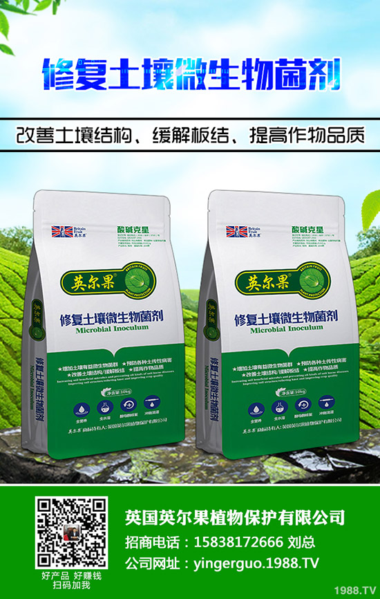 尿素行情低迷!2019年11月11日各地區(qū)尿素主流出廠報(bào)價(jià)!