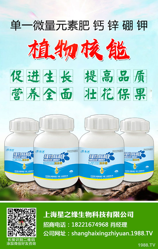 ѿӷNֲѿ˷Nֲg(sh)˽٣