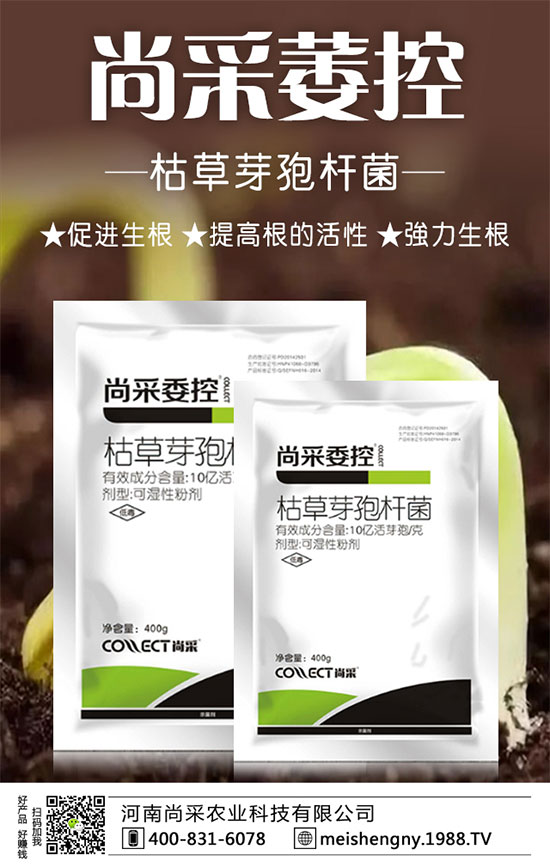 ݮɼݮʩҪc(din)