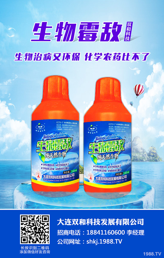 平菇種植其實(shí)不難,注意這幾點(diǎn),產(chǎn)量會(huì)很高!