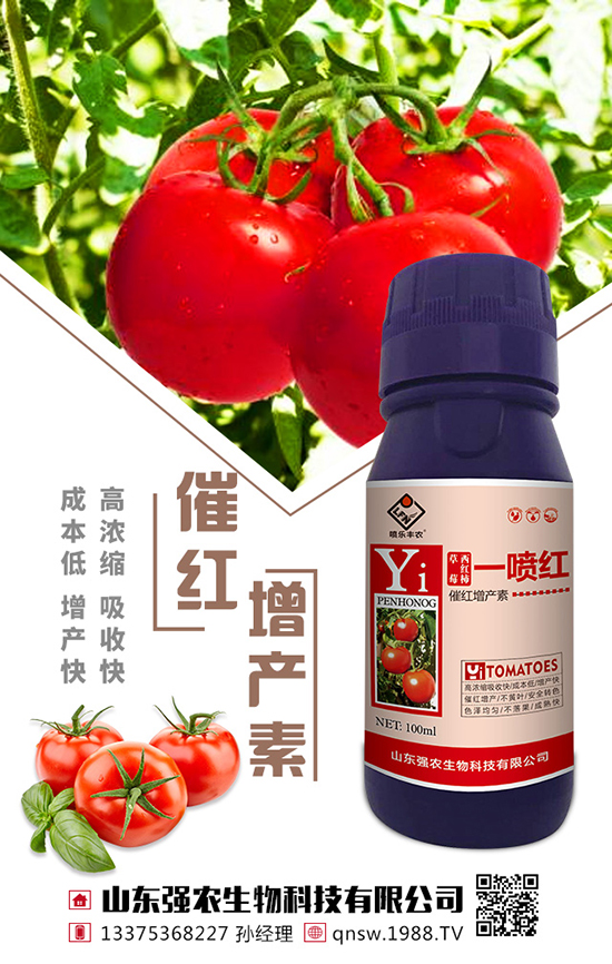 西紅柿農(nóng)藥使用注意事項(xiàng) 西紅柿農(nóng)藥使用操作要點(diǎn)