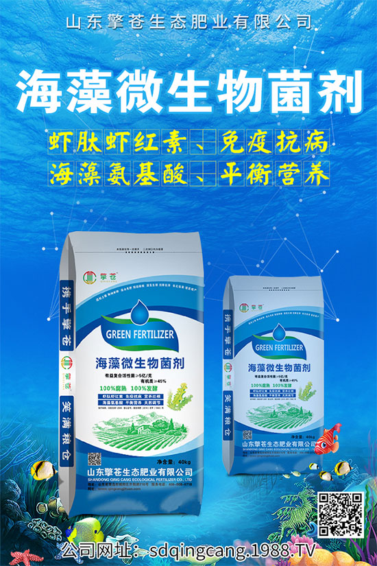 ˥ʲôY˥ķδʩ