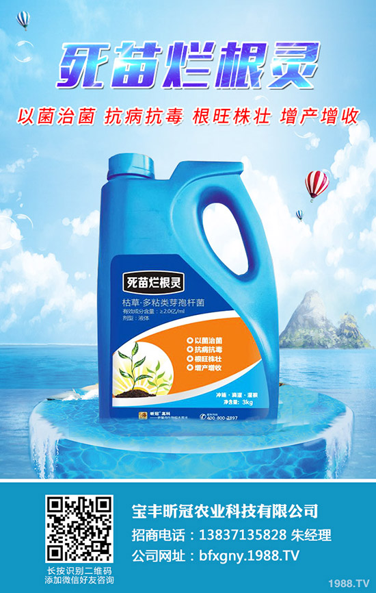 ÷ʩʕr(sh)gʲôr(sh)÷ʩʷЩ