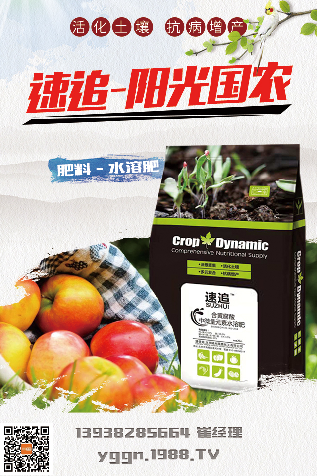     ꖹrٴΔy1988.TVA2020ل(chung)x