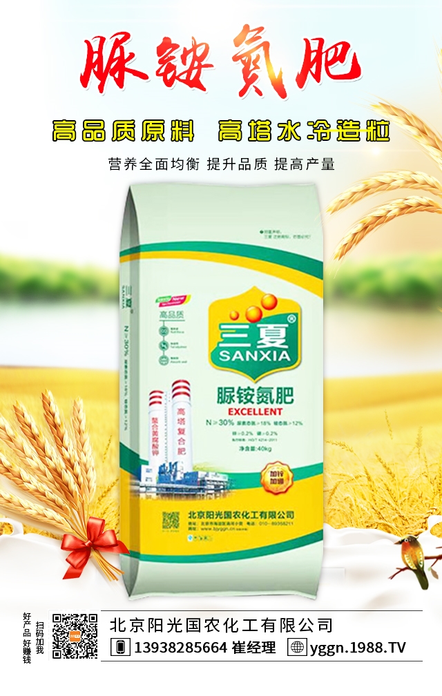     ꖹrٴΔy1988.TVA2020ل(chung)x