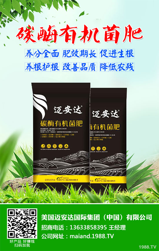 貢菊花該如何選購(gòu)?貢菊花的常見(jiàn)用法