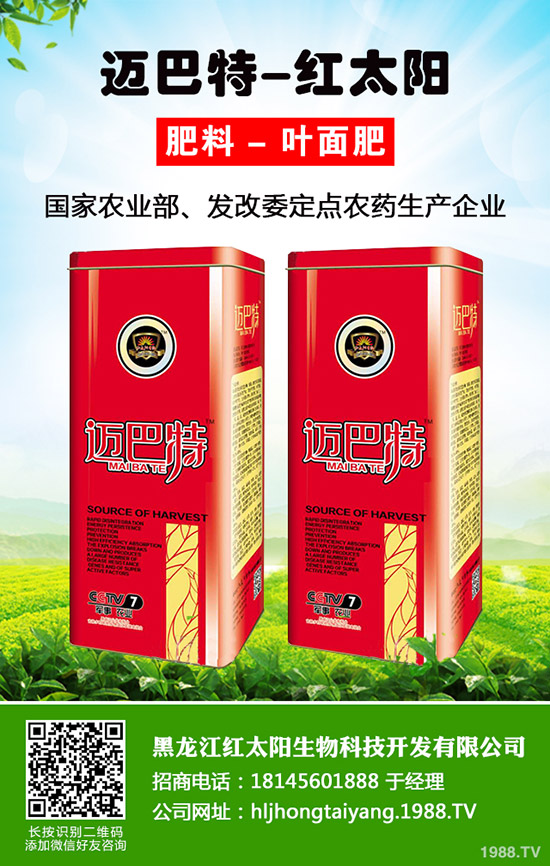 }NֲýYһY״ι}Nֲ