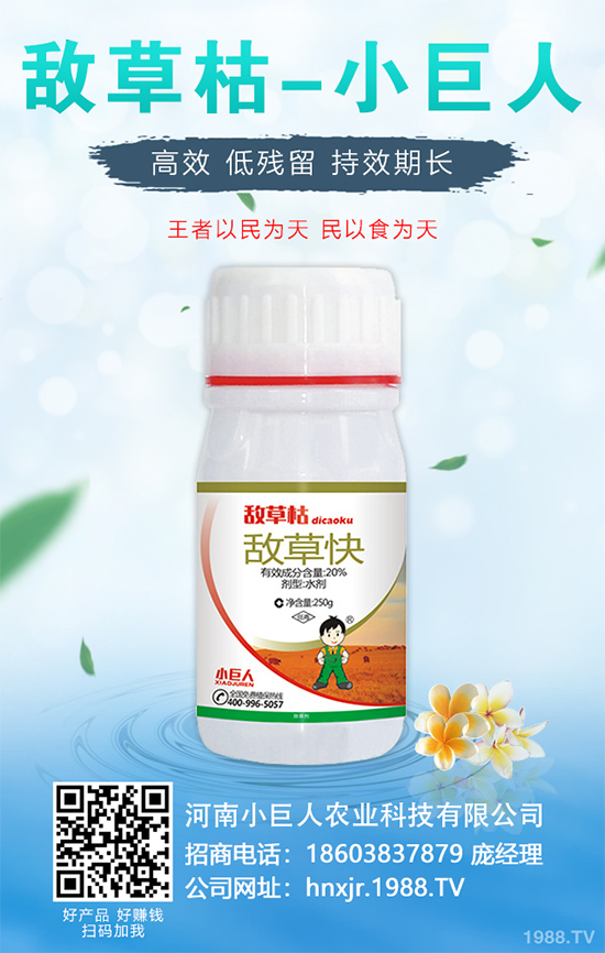 無花果種植行情怎么樣?如果能實現(xiàn)種植高產?