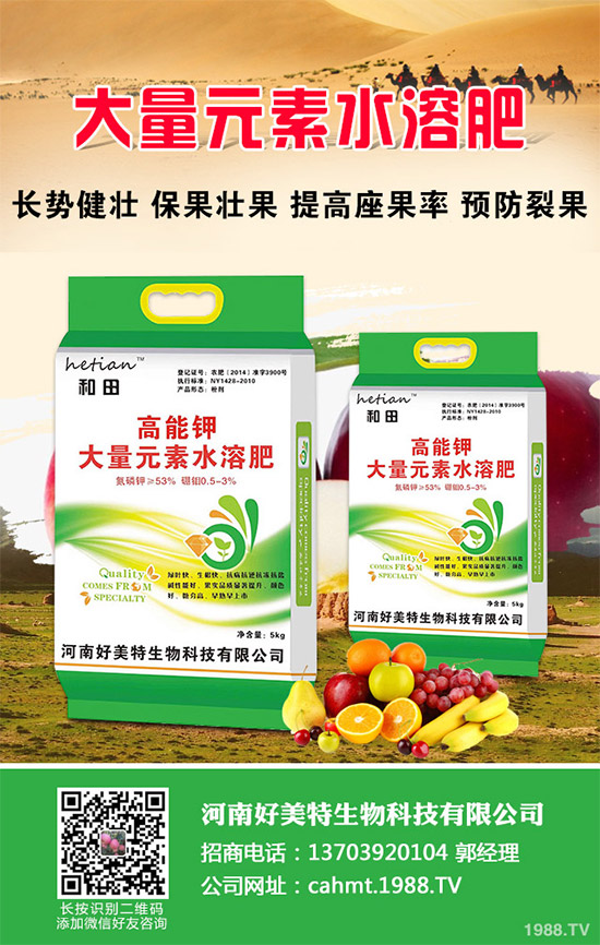 吃蘑菇有什么好處?蘑菇的營(yíng)養(yǎng)價(jià)值及功效作用