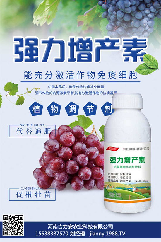 大棚蘑菇該如何種植?大棚蘑菇的種植管理技術(shù)