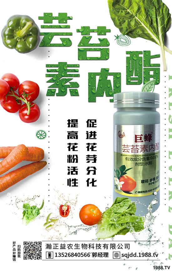 ߲˲ɹʵΣߴ߲˲ɹ