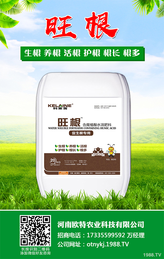 ĢNֲҪʲôlĢNֲh(hun)Ҫ