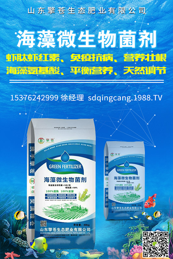     2019年12月2日復(fù)合肥行情回暖！最新企業(yè)出廠參考報(bào)價(jià)一覽！