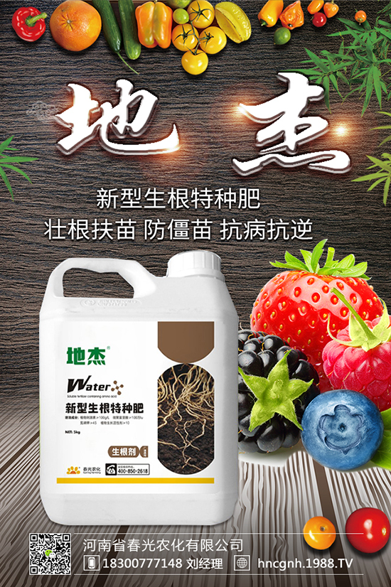 L(fng)⏻B(yng)ֳ L(fng)⏻B(yng)ֳע