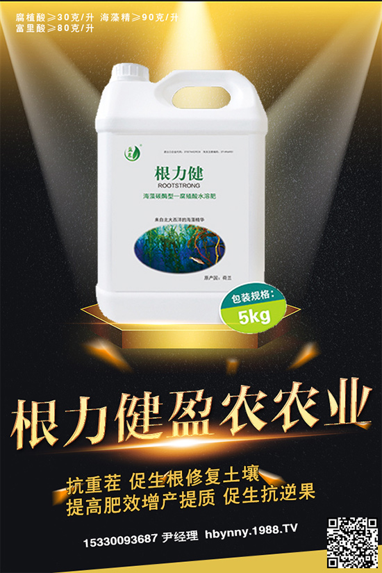     ȥ__Ϸʣע⡰ɡ