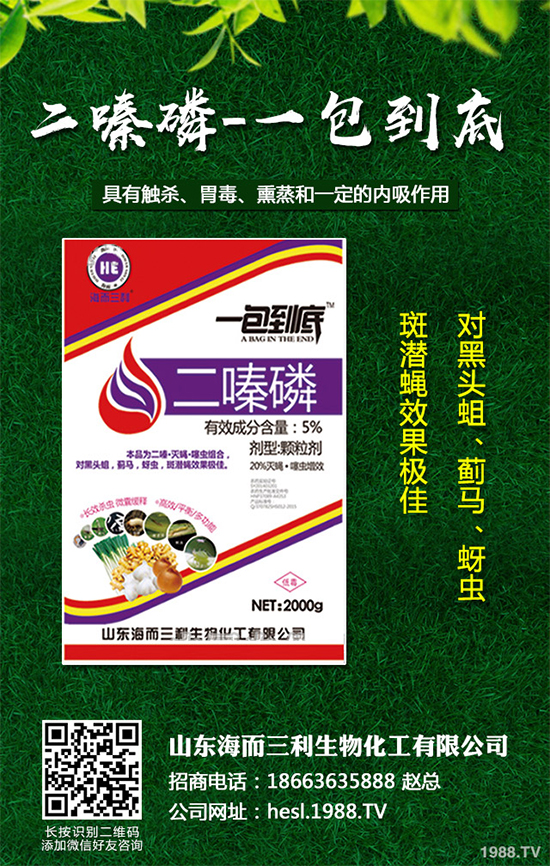 好消息,氯蟲(chóng)苯甲酰胺在甘薯上獲首登!