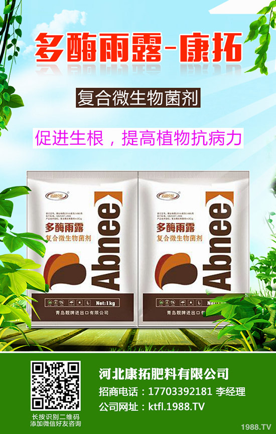 ÿX2019-12-20ո؃r(ji)߄ݷ