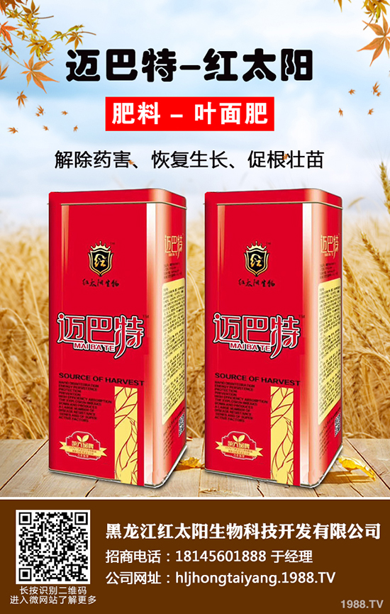 ⛷ʃr(ji)ǝqǵ2019-12-21(gu)(ni)⛷ʃr(ji)߄(sh)