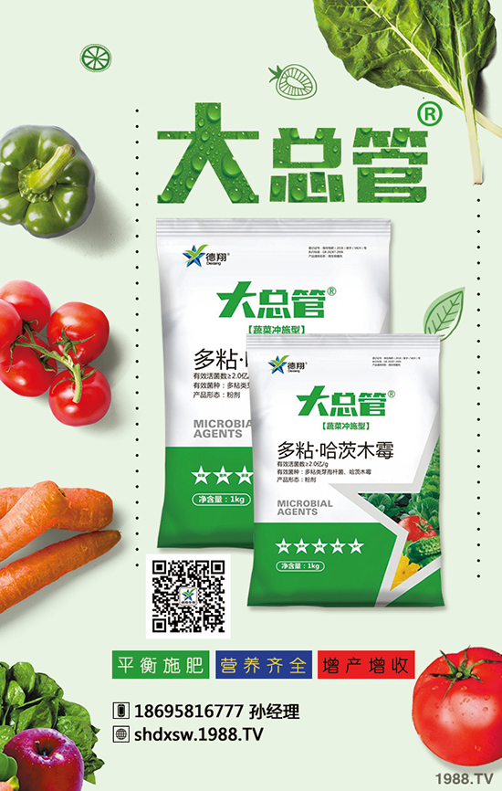 2020年蒜苗種植賺錢嗎？成本多少錢？效益怎么樣？前景如何？