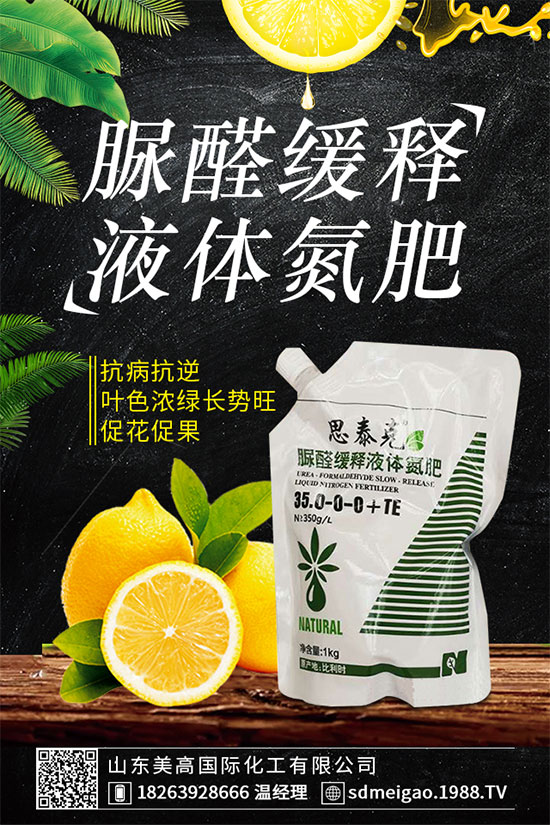 荊芥的功效作用有哪些?什么人不能吃荊芥?