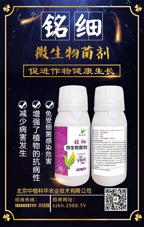 搶占商機(jī),合作共贏,北京中植科華再簽1988.TV,再創(chuàng)新輝煌!