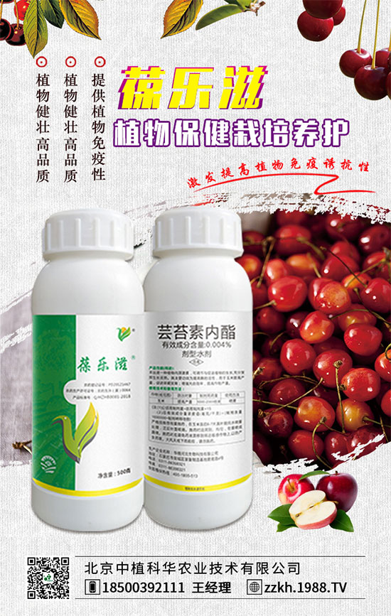 搶占商機(jī),合作共贏,北京中植科華再簽1988.TV,再創(chuàng)新輝煌!