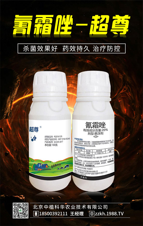 搶占商機(jī),合作共贏,北京中植科華再簽1988.TV,再創(chuàng)新輝煌!