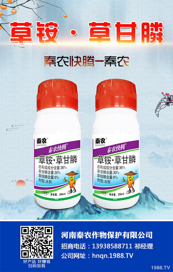 Prentisssݳ݄Camp-D 24-DͰ