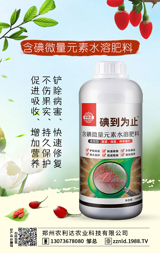 紅蘿卜如何管理才能豐收?六大科學(xué)管理我們知道嗎?