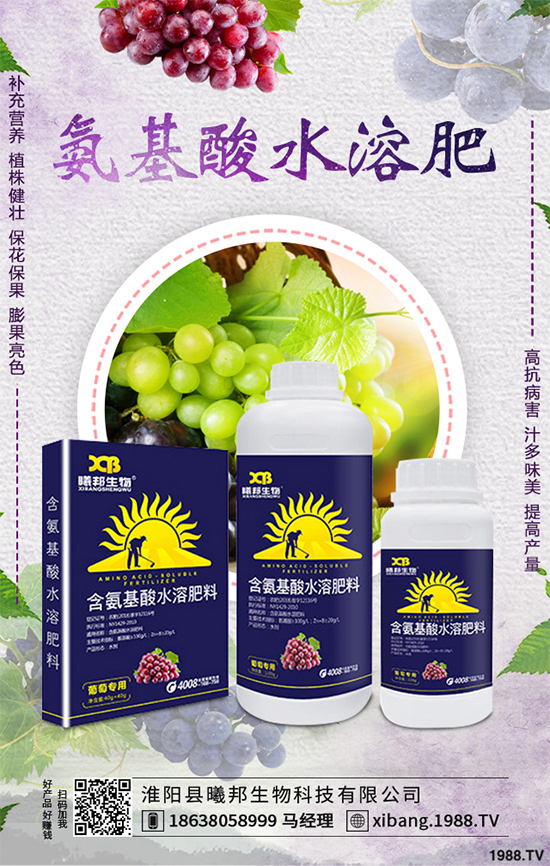 明年種植什么更賺錢(qián)?2020年七大賺錢(qián)種植項(xiàng)目,快來(lái)看看吧!