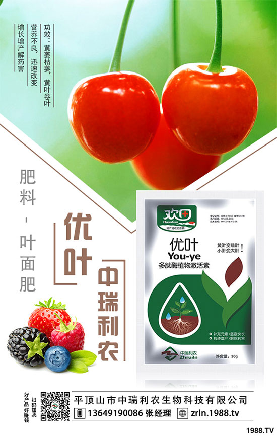 芋頭的品種選擇,芋頭種植需要哪些注意事項?