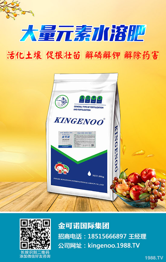 大蒜適宜的種植時間是什么時候,大蒜種植方法有哪些