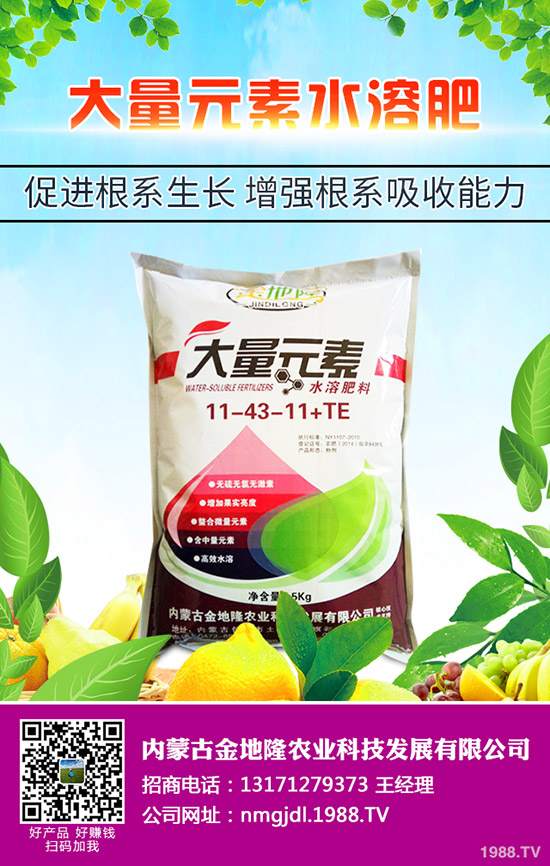 2020春玉米更佳播種時間,春玉米的播種技術要點