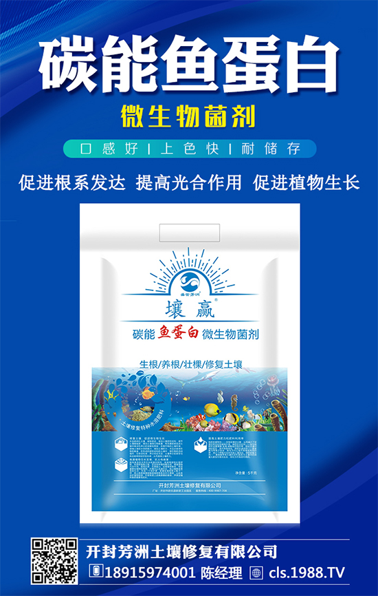 黃皮果種植管理要點,黃皮果種植條件有哪些?