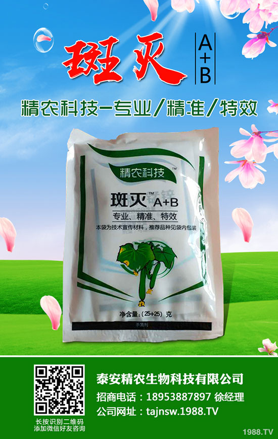 QwЩ̎QĹЧcIB(yng)rֵ