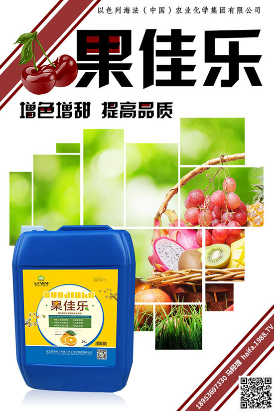 QʩʕrgʲôrQʩʷЩ