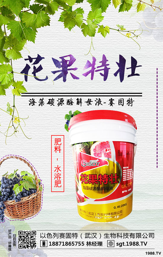 蠶豆怎樣種植才能高產(chǎn),蠶豆的種植時(shí)間和方法!