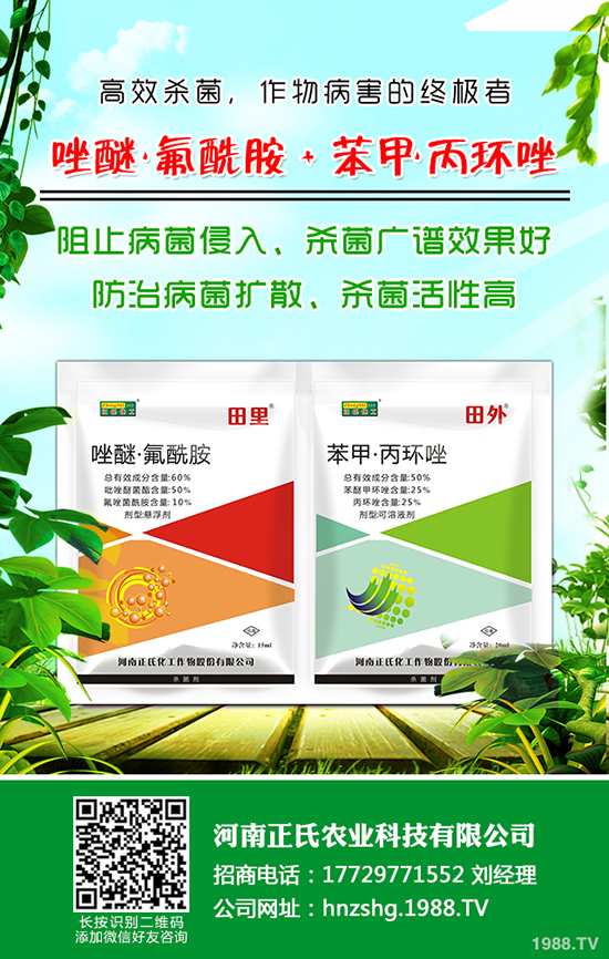 ÷NֲĚl÷Nֲķ