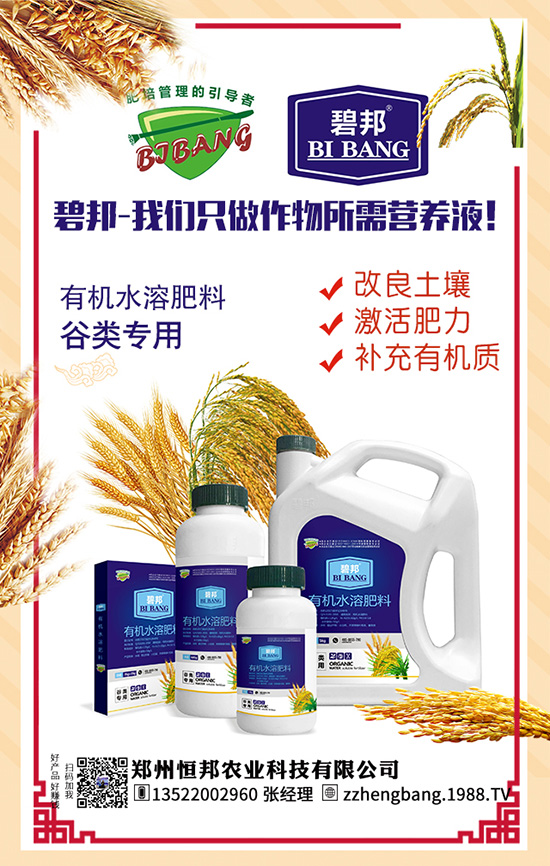 粘玉米種植高產技術 粘玉米種植